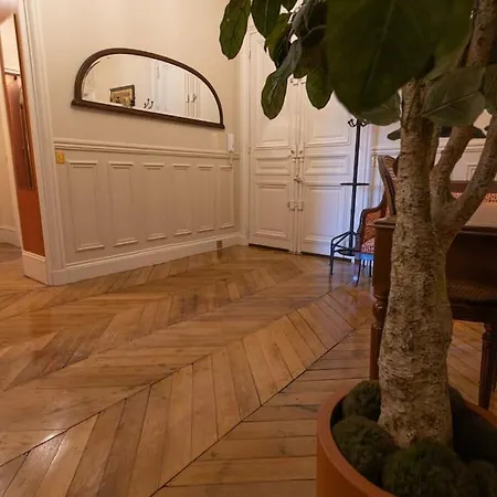 Vue Louvre Et Seine * Paříž
